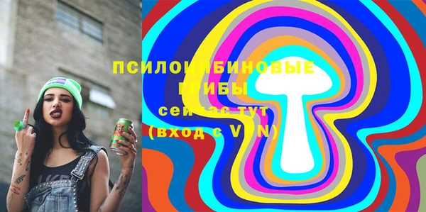 дмт Баксан