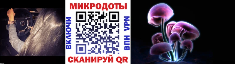 Псилоцибиновые грибы Psilocybine cubensis  это формула  KRAKEN как зайти  Армавир  продажа наркотиков 